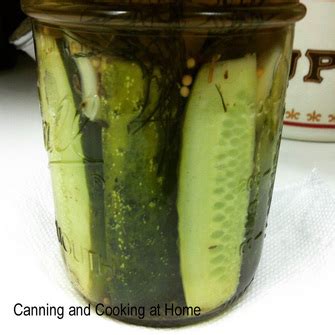 polish-dill-pickles-canning-and-cooking-at-home image