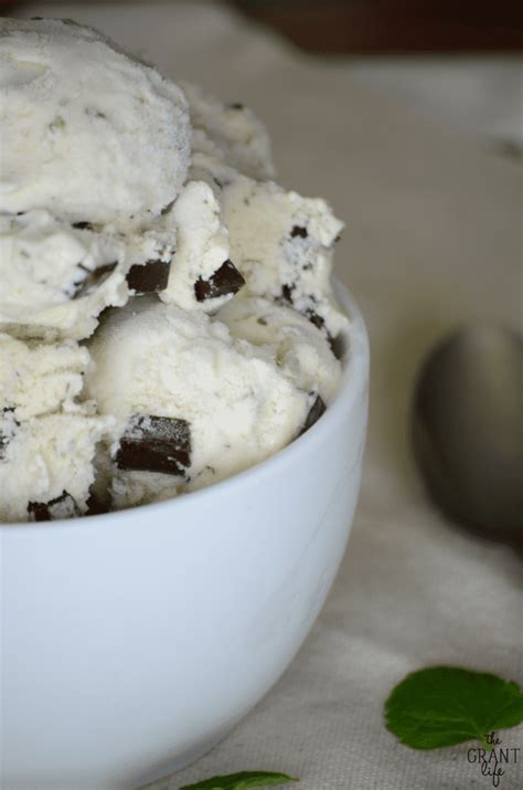 homemade-mint-chocolate-chip-ice-cream-mom image