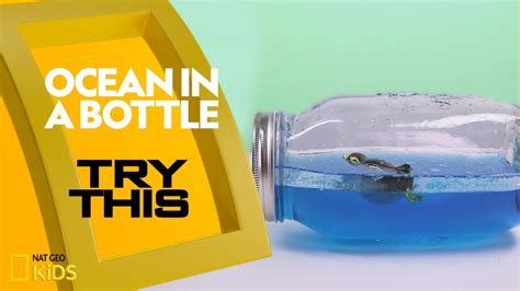 ocean-in-a-bottle-try-this-youtube image