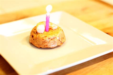 how-to-make-a-birthday-cake-for-your-cat-buzzfeed image