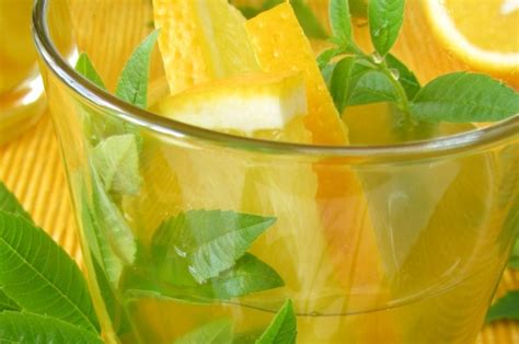 lemon-verbena-lemonade-recipe-big-batch-cocktail image