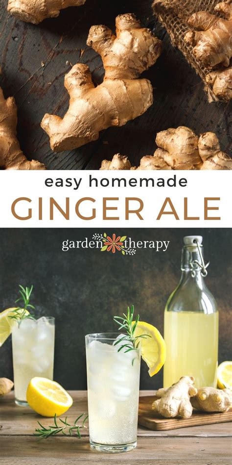 homemade-ginger-ale-syrup-ginger-mint-lemonade image