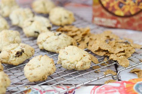 raisin-bran-oatmeal-cookies-mommy-hates-cooking image