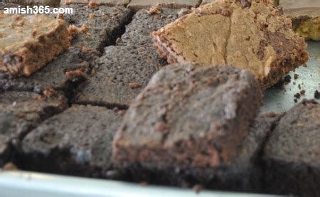 worlds-best-amish-brownies-amish-365 image