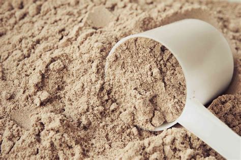 what-is-malted-milk-powder-and-how-to-use-it-the image