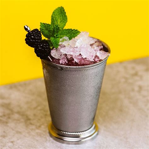 blackberry-mint-julep-margarita-cocktail image