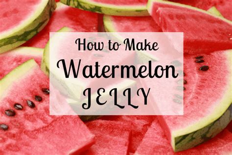 watermelon-jelly-recipe-homesteading-where-you-are image