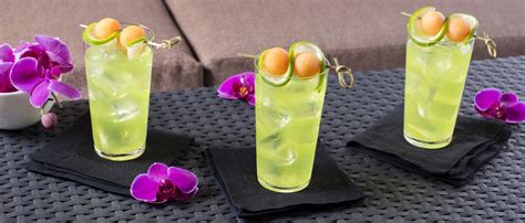 melon-cooler-cocktail-with-cucumber-vodka-and image
