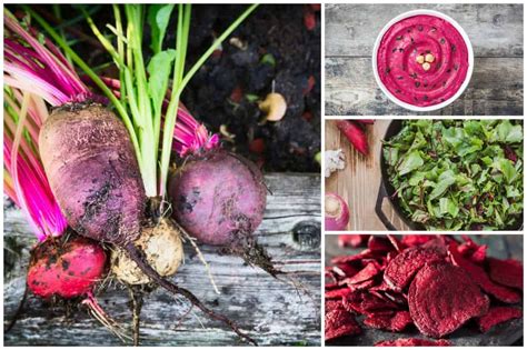 33-brilliant-recipes-using-beets-youd-never-have image