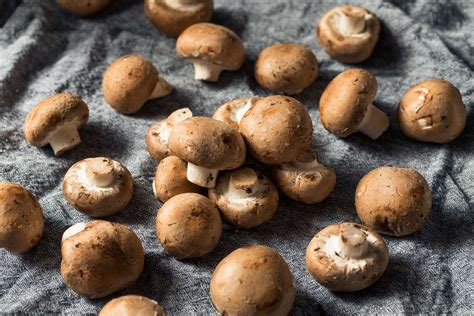 baby-bella-mushrooms-recipes-and-benefits-fine-dining image
