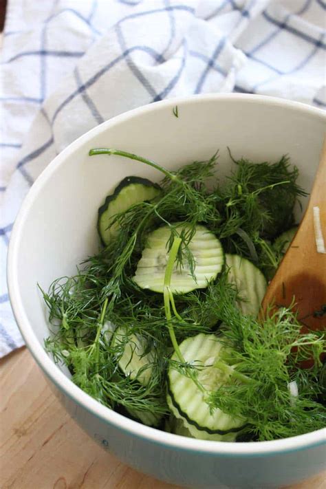 refrigerator-sweet-dill-pickles-bowl-of-delicious image