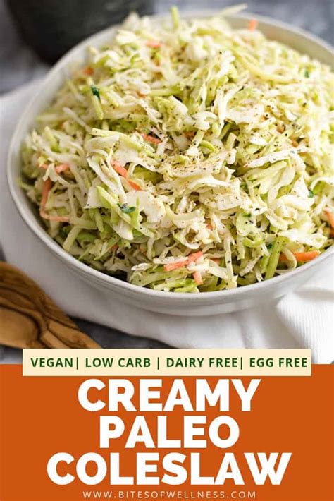 healthy-vegan-coleslaw-dairy-free-no-mayo-bites-of image
