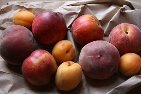 recipe-pesche-al-vino-peaches-with-wine-katie-parla image