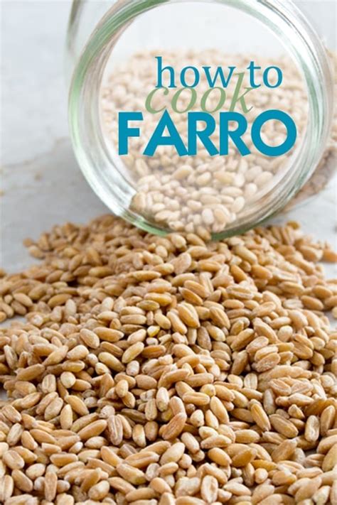 how-to-cook-farro-in-the-slow-cooker-cookthestory image