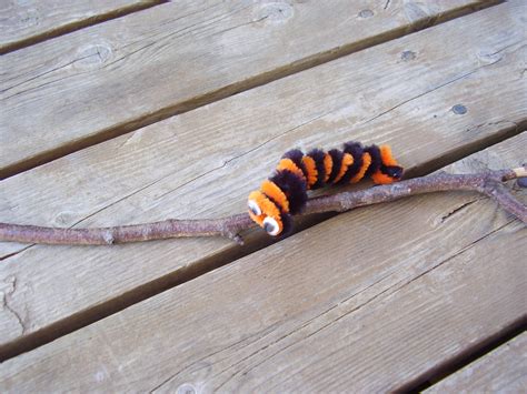 how-to-make-a-fuzzy-little-caterpillar-preschool-toolkit image