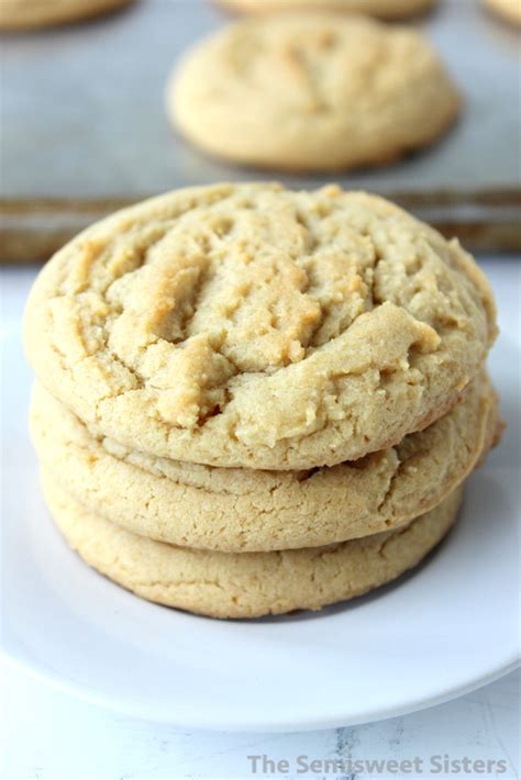 no-chocolate-chip-cookies-the-semisweet-sisters image