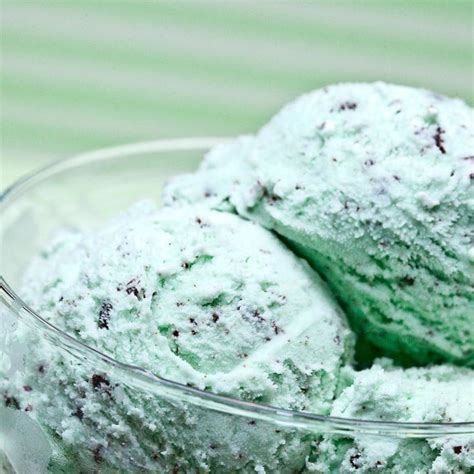 homemade-mint-chocolate-chip-ice-cream-chew-out image