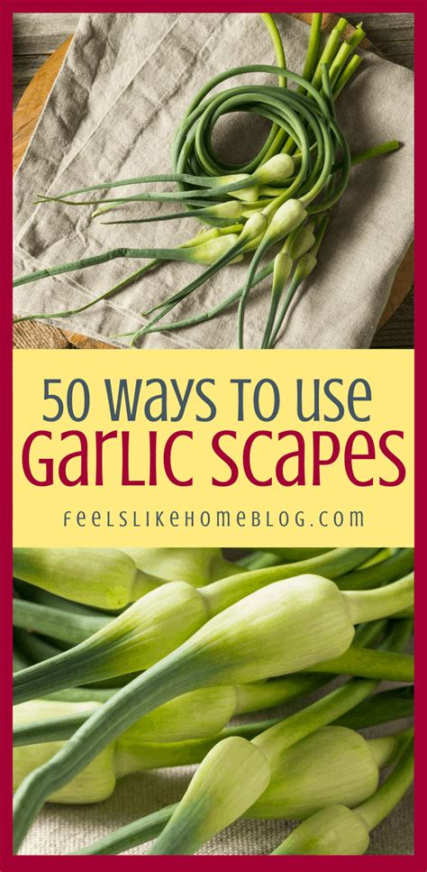 what-is-a-garlic-scape-and-50-ways-to-use-them-feels image