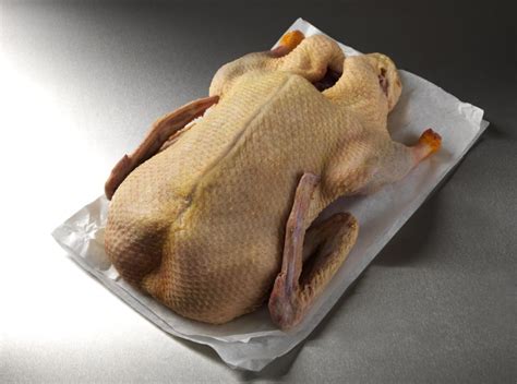 how-to-cook-a-whole-duck image