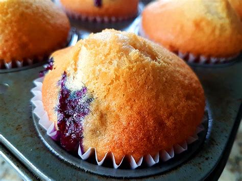 fluffy-vegan-blueberry-muffins-recipe-updated-2021-eggless image