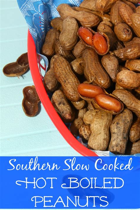 southern-slow-cooked-hot-boiled-peanuts-for-the-love-of-food image