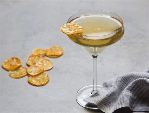sparkling-meyer-lemonade-with-candied-citrus image