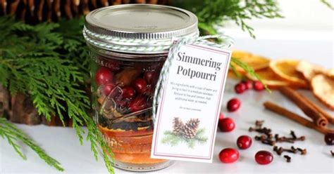 diy-simmering-potpourri-gift-and-printable-tag image