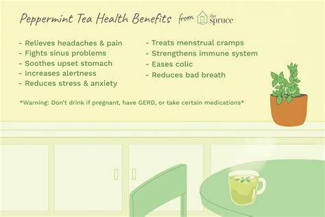 what-is-peppermint-tea-benefits-uses image