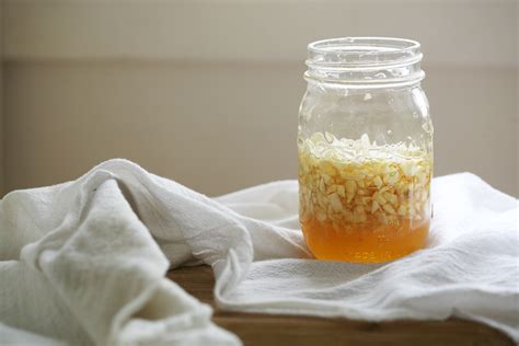 diy-garlic-honey-for-for-cold-flu-season-preparation-herbal image
