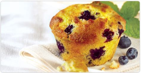 blueberry-cornmeal-muffins-burnbrae-farms image