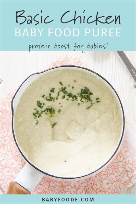 basic-chicken-baby-food-recipe-6-months-stage-1 image