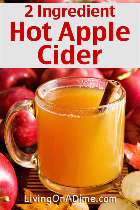 easy-homemade-hot-apple-cider-recipes-living image