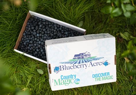 a-guide-to-blueberry-season-taste-of-nova-scotia image