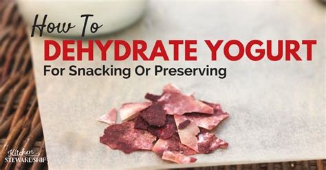 how-to-dehydrate-yogurt-a-healthy-long-term image