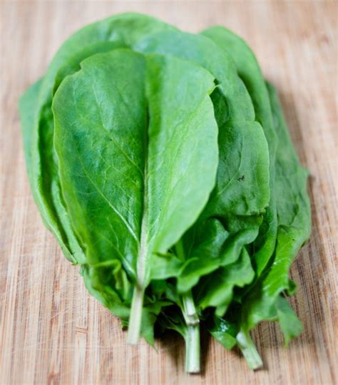 sorrel-recipes-50-things-to-do-with-fresh-sorrel image