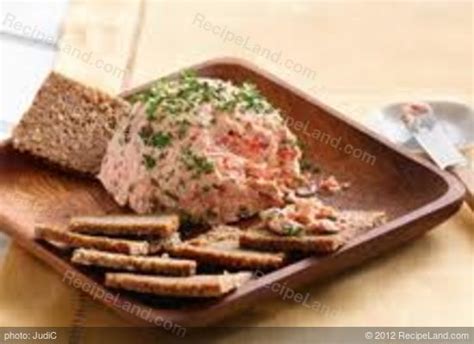 easy-salmon-pate-dip-recipe-recipeland image