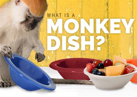 what-is-a-monkey-dish-webstaurantstore image