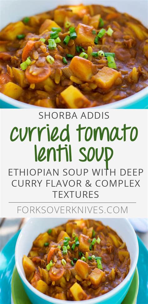 curried-tomato-lentil-soup-shorba-addis image