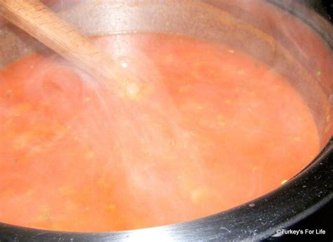 turkish-recipes-Şehriyeli-domates-corbası-turkeys image