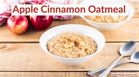 easy-apple-cinnamon-oatmeal-recipe-stove-top image