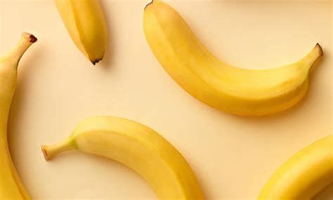 can-dogs-eat-bananas-purina image