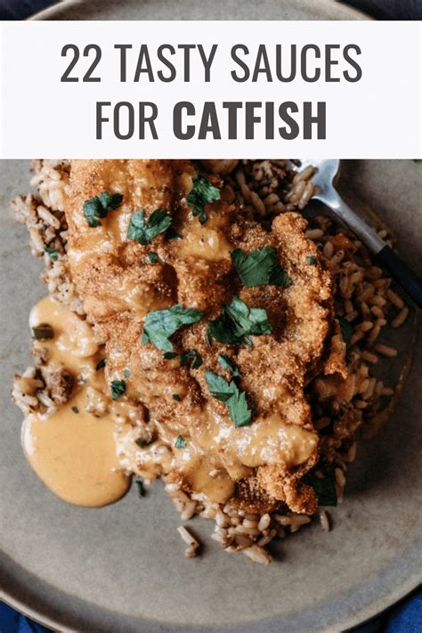 22-sauces-for-catfish-we-cant-resist-happy-muncher image