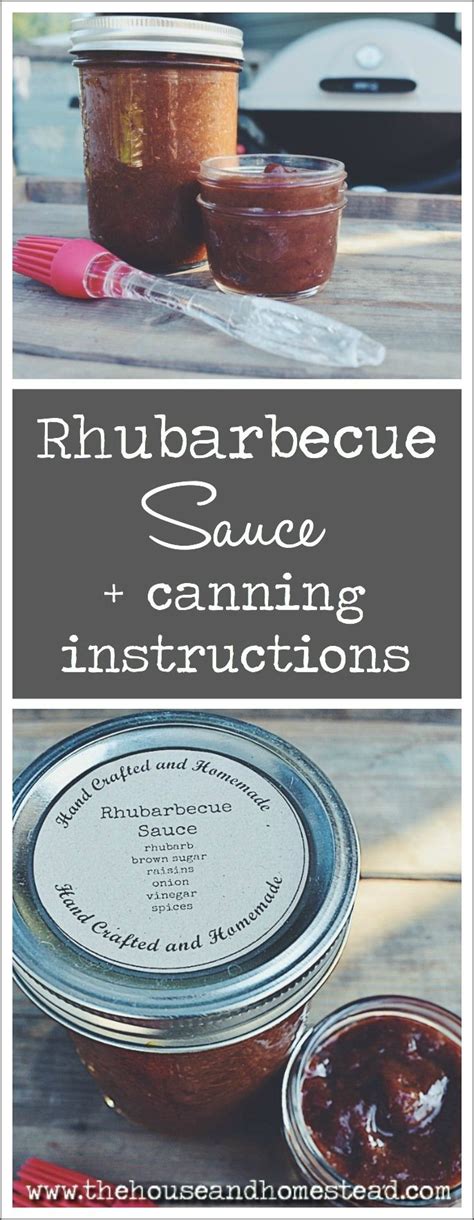 rhubarbecue-homemade-rhubarb-bbq-sauce-the image