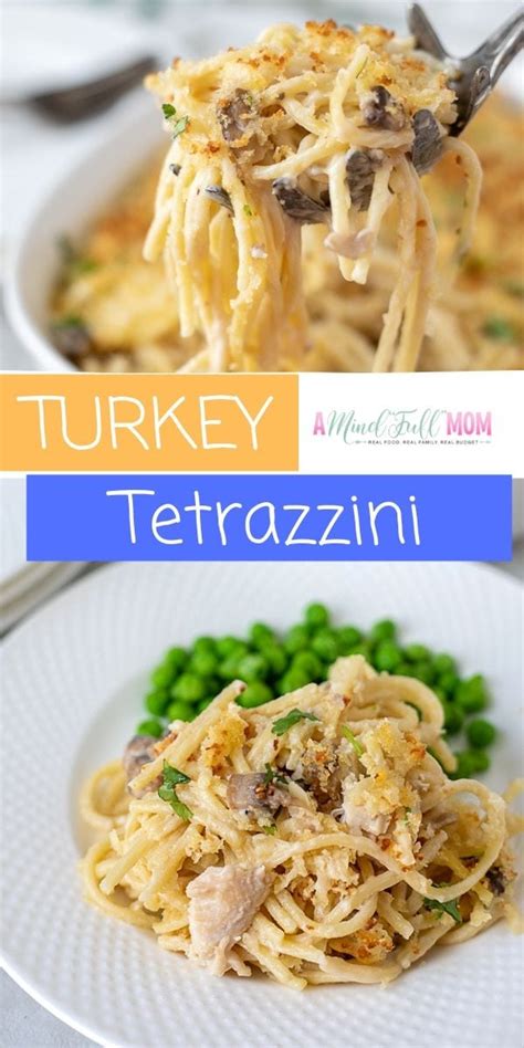turkey-tetrazzini-a-mind-full-mom image