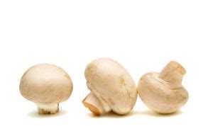 mushroom-ratatouille-thekosherchannelcom image