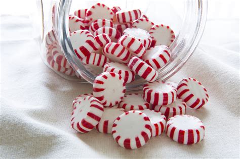 peppermint-candy-nutritional-facts-healthfully image