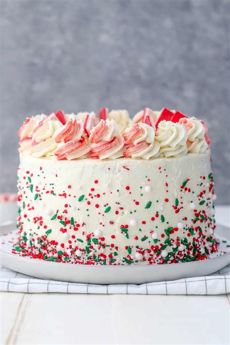 chocolate-peppermint-cake-beyond-frosting image