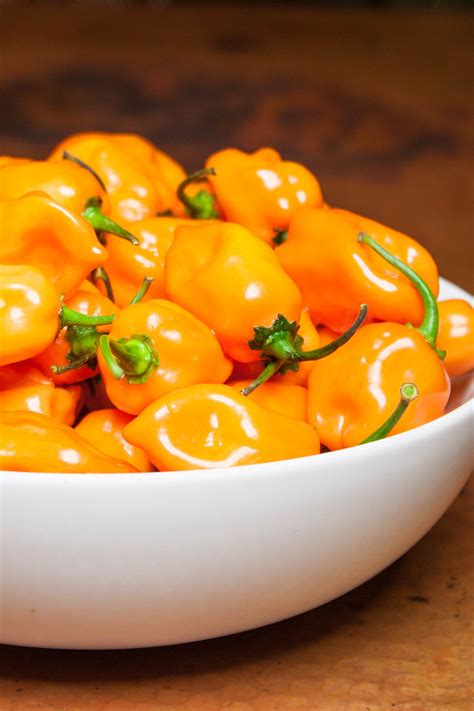 habanero-pepper-profile-uses-heat-chili-pepper image