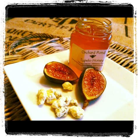 roasted-figs-with-blue-cheese-honey-a-cedar-spoon image