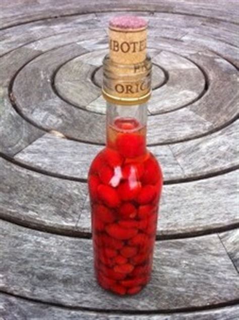 try-this-delicious-rosehip-vinegar-recipe-eatweeds image